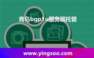 青岛BGP服务器托管 高性能网络与网站建设的完美结合