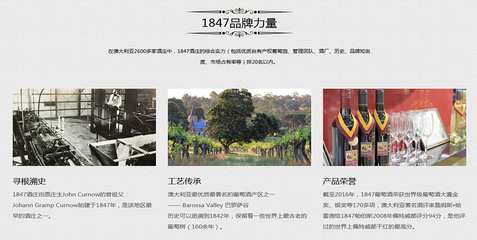 1847酒庄品牌网站建设 如何通过青岛迅优网络科技打造独特的数字化品牌形象？